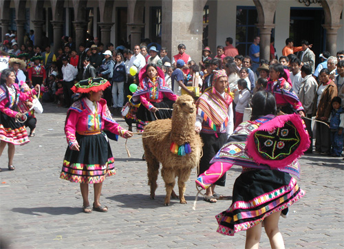 행진의 특별 초대손님인 귀여운 알파카(Alpaca) 